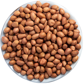 Groundnut